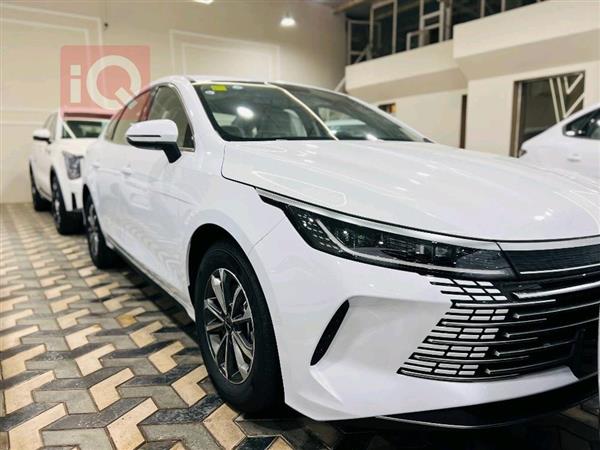 BYD Destroyer 05 2025 for sale in Iraq - Najaf